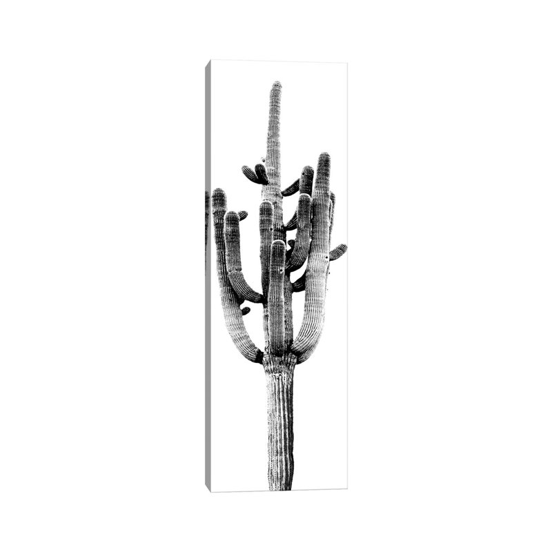 Black & White Saguaro Cactus II by Mia Jensen - Wrapped Canvas Panoramic Print, 91.44cm H x 30.48cm W x 1.91cm D