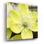 «Yellow Blossom» par PhotoINC Studio-1731160911