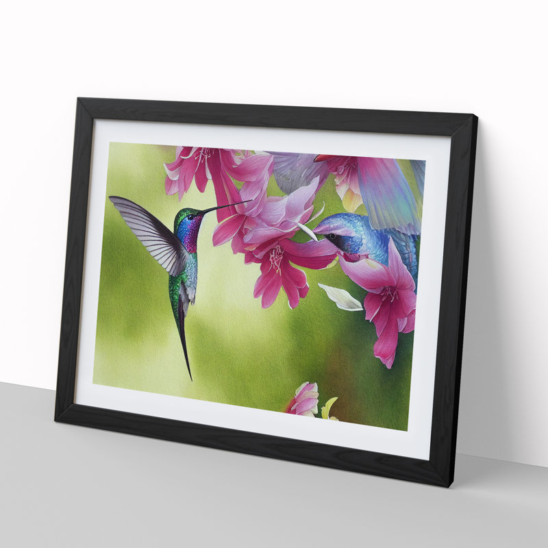 Hummingbird Vol.1 - Single Picture Frame Print, Black Framed, 25cm H x 34cm W x 2cm D