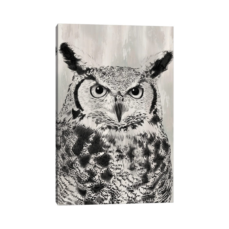 Charcoal Owl, 101.6 cm H x 66.04 cm W x 1.905 cm D, Does Not Apply