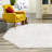 Malayna Floral Indoor Rug