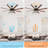 Modern 66 Inch Ceiling Fan With 6 Speed Wind 8 Blades Remote Control Reversible DC Motor With Light