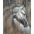 " Texas Horse I "