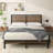 Kai Metal and Solid Wood Standard Bed-94487224