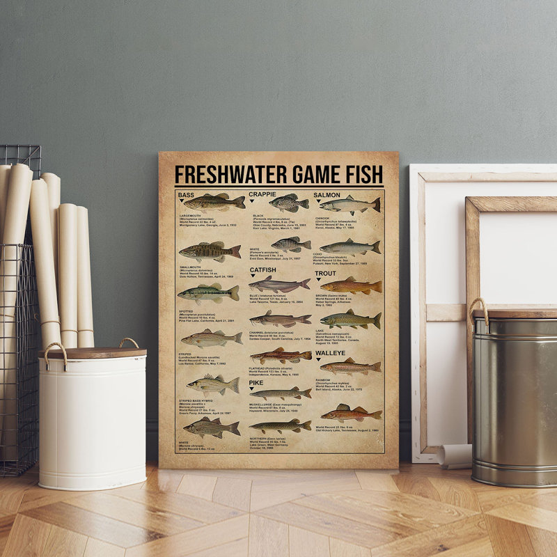 «Freshwater Game Fish», toile tendue sur toile - Illustration de connaissance de poisson animal, décor gris et vert