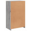 Baraa Standard Accent Cabinet-622882216