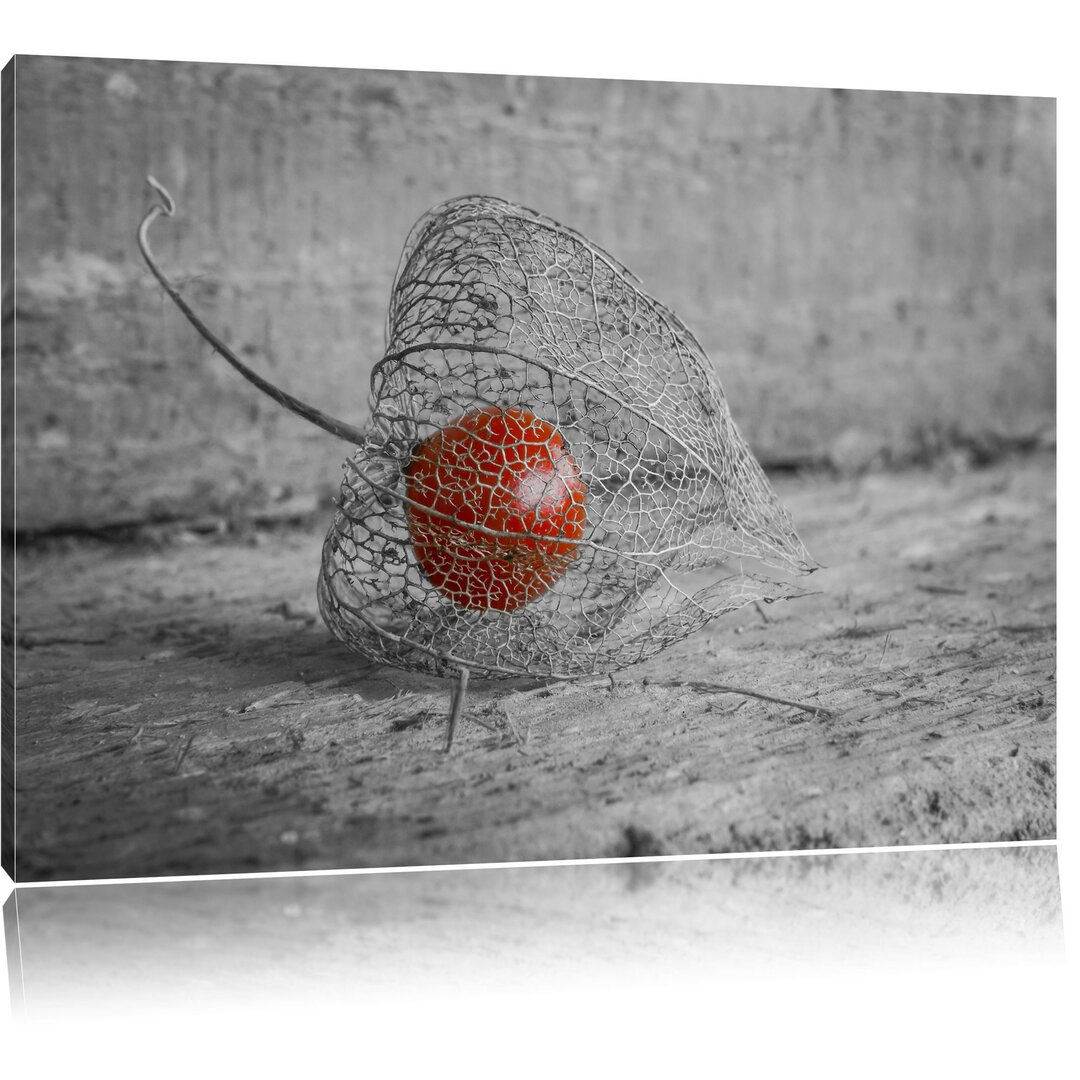 Leinwandbild Leckere Physalis in Schale