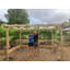 Baumbaugh Solid Wood Pergola-896474416-896474403