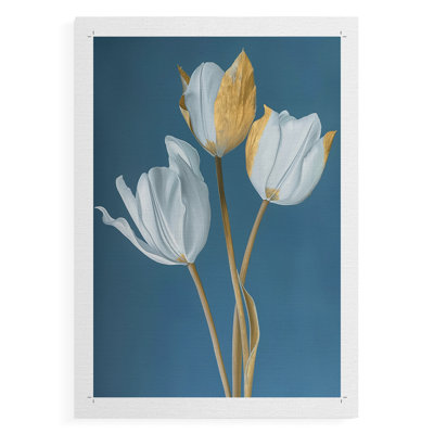 Série FLORAL CXLVI - Impression sur toile seulement - NON CADRE