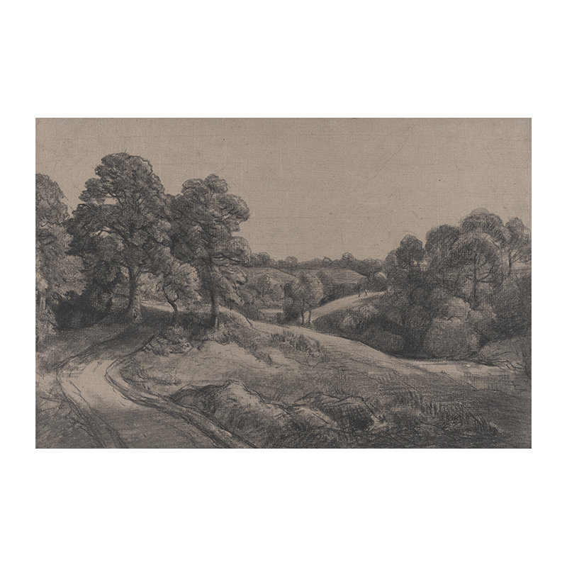 Cabersham Matte Mural, 208 x 146cm