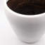 Ceramic Pot Planter