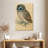 Brampt The Little Owl-108515715