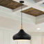 Luminaire suspendu en forme de goutte à 1 lumière Braylon-599569819-599569816