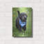 «Black Lab Pup 1» par Jonathan Ross-1395204868