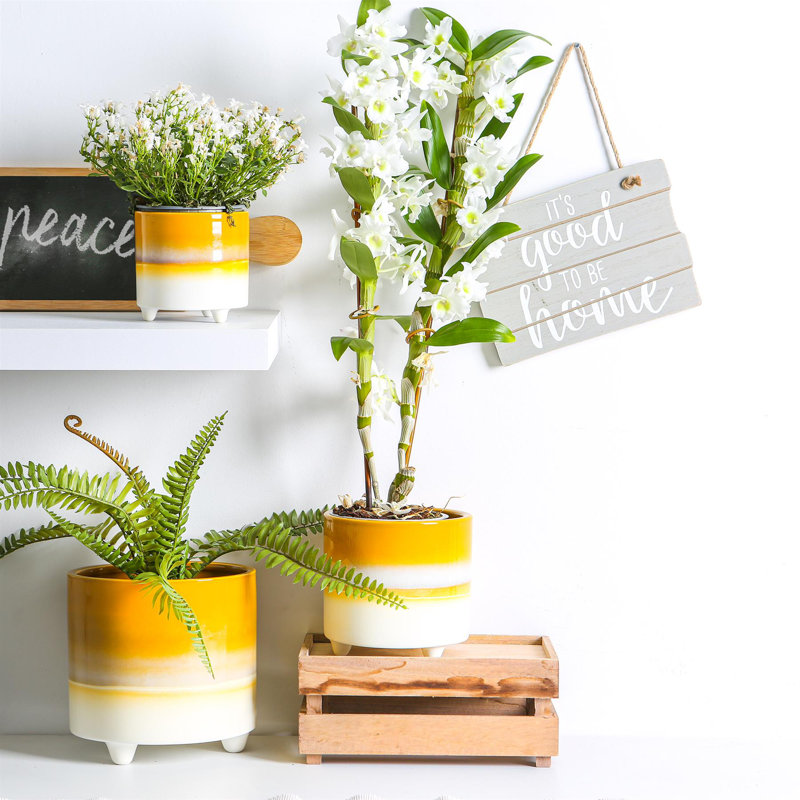 Ceramic Pot Planter, 17.5cm H x 18cm W x 18cm D, Yellow