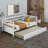  Kanin Daybed With Trundle Frame Set, Twin Size-668929838