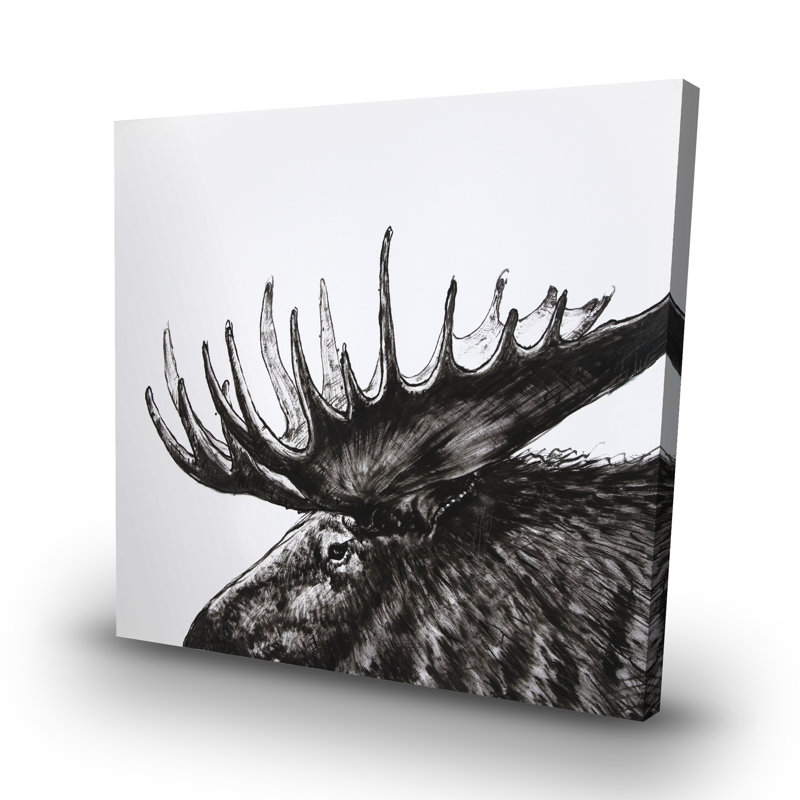 Moose plume - 32"x32" art on canvas