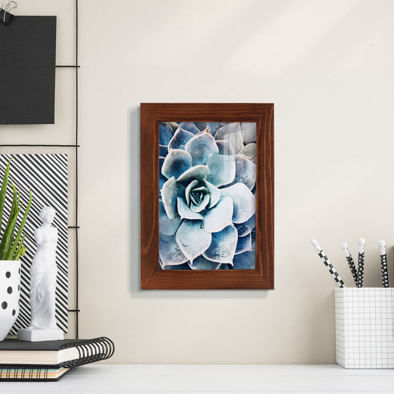Pastel Succulent Beauty III, encadré sur papier, H 7 po x l 5 po x P 1 po, Châtaigne