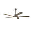 Ventilateur de plafond d'intérieur à 5 pales Baun avec télécommande-1049430255-1038471773-1027365108