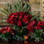 Harriet Fan Vase-73822088