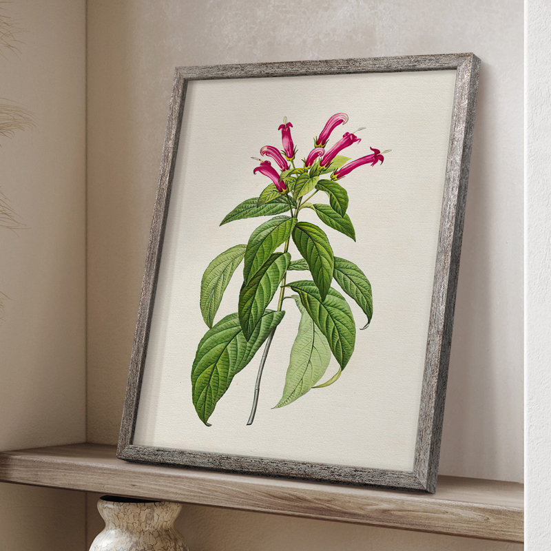 «Pretty Pink Botanicals», reproduction d'art encadrée - bois massif 2768835, H 11 po x l 9 po