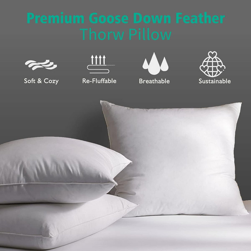 Soft Feather Down Throw Pillow Inserts Set of 2, 16"H x 16"W