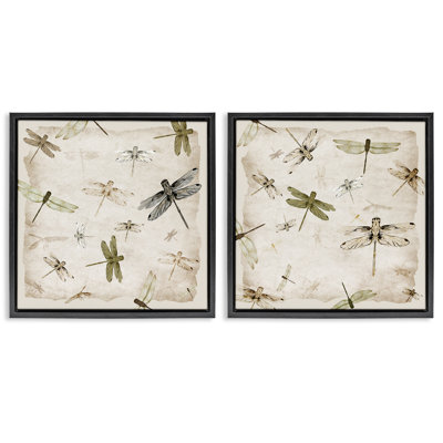 Graceful Dragonflies Illustrations 2pc Floating Frame Set, design by Jacob Q