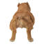 Statue de chien qui marche-44488689