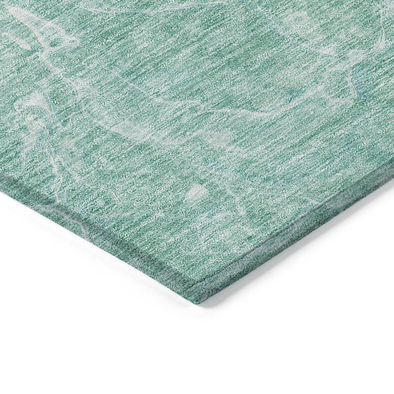 Radric Washable Indoor / Outdoor Rug, Rectangle 10' x 14'