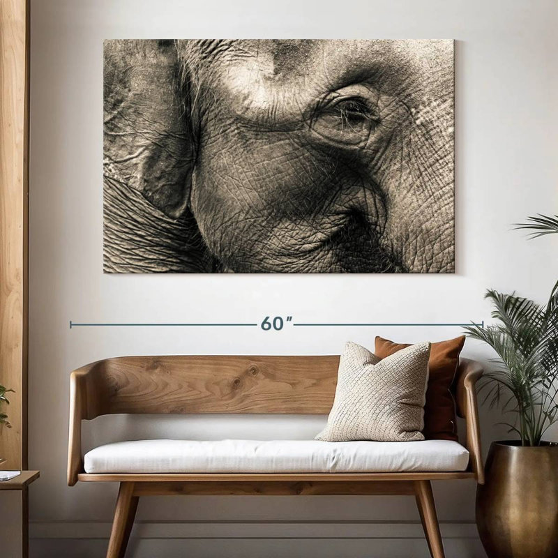 Brampt Wrinkled Elephant Face, 34" H x 51" W
