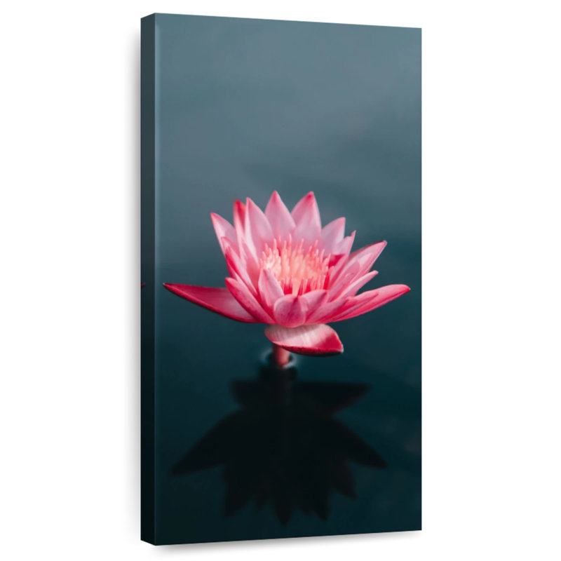 Solo Lotus, 24" H x 12" W