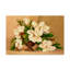 « southern magnolias », reproduction de peinture à l’acrylique sur toile tendue-31878261
