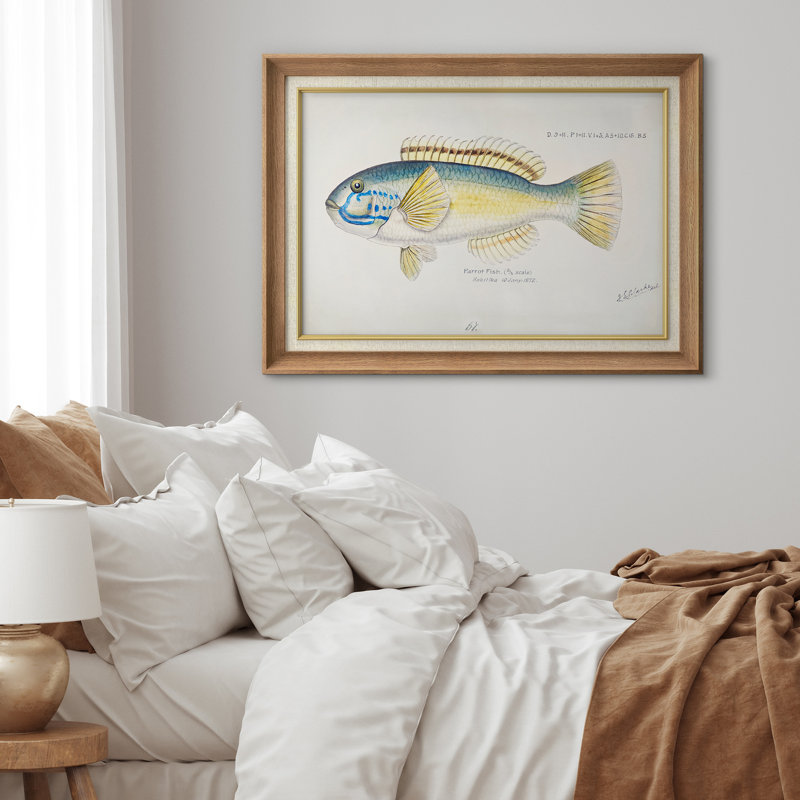 Art rétro de poisson perroquet scientifique, images de salle de bain, art mural impression sur toile encadrée.