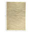 Rectangle Rectangle 6' X 8'9'' Area Rug