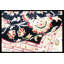 Walton Oriental Area Rug