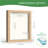 8.5” X 11” Natural Oak Wooden Shadow Box Frame – Display Case With Soft Felt Back, Memory Box With Tempered Glass, Display Box With Elegant White Ball Push Pins, Wooden Flower Box