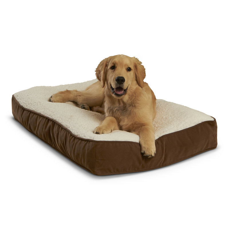 Lit pour chien Olivarez Classic, Café au lait, Petit (L 36 po x l 24 po x H 5 po)