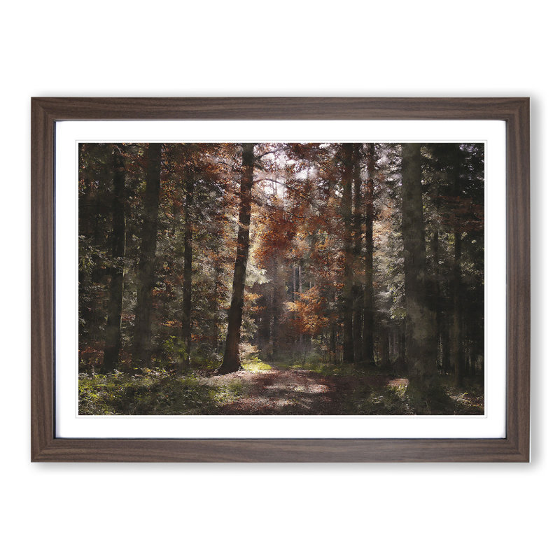 Autumn Forest Vol.4 - Picture Frame Graphic Art, 36cm H x 48cm W x 2cm D, Walnut Framed