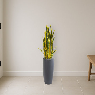 Sansevieria Artificial Plant in Gray Planter