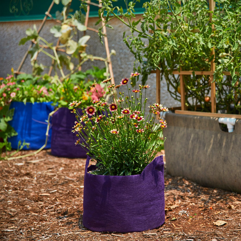 Jardinière en tissu Smart Pot®, 11,5 x 16 x 16, Mauve