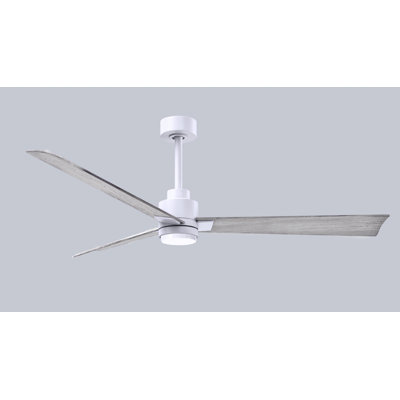 Alessandra - Three Blade Transitional Ceiling Fan -LED