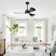 Boun 42'' Ceiling Fan with LED Lights
