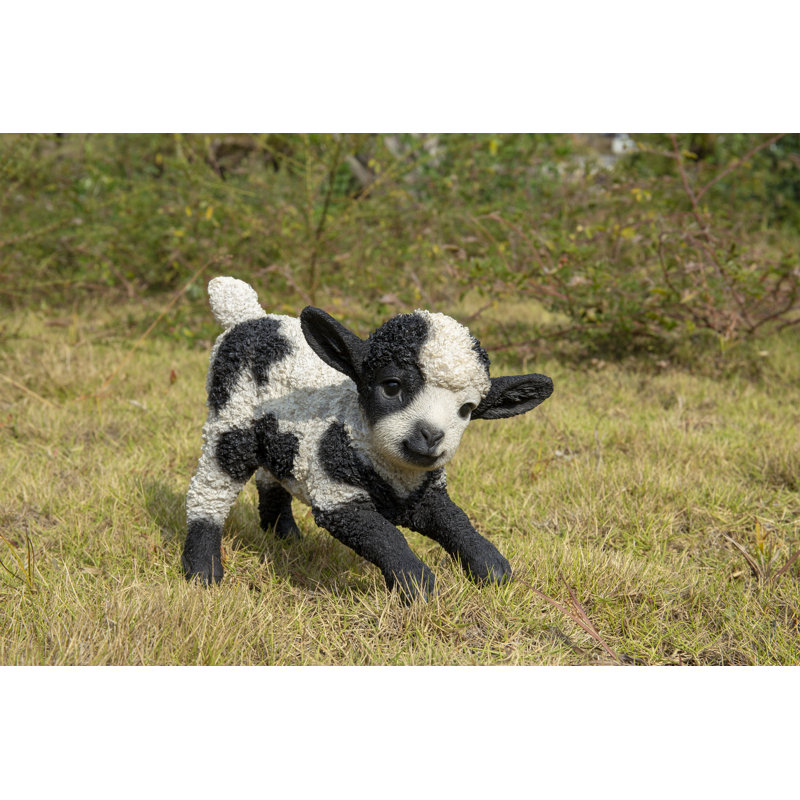 Jeu d’agneau de bébé, Noir