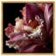 Velvet Labellum Print by Oliver Gal-819406401-819406448