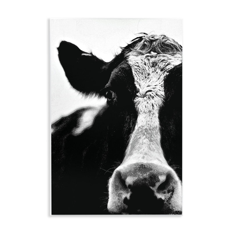 'Cow Close Up' Photographic Print, 19" H x 13" W