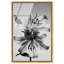 Beautifully Balanced High-Gloss Frameless Acrylic Glass Wall Art Floral & Botanical Print by Oliver Gal, Ready to Hang, 10 x 15-584043899-584043889