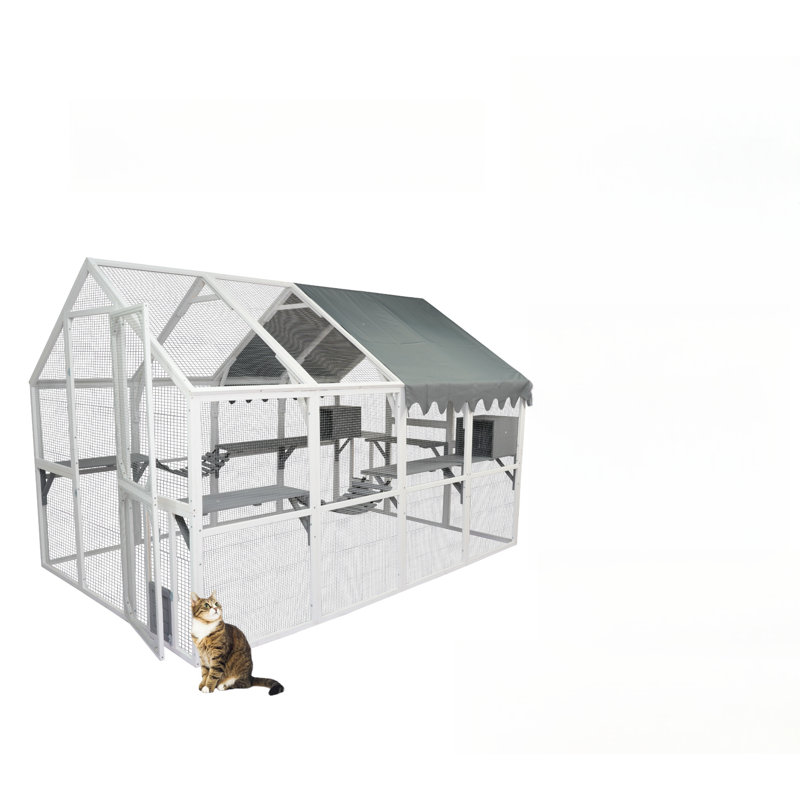 Cage pour chat d'extérieur