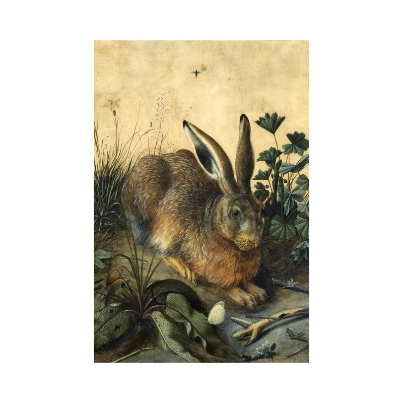 Hare by Hans Hoffmann - Wrapped Canvas Print, 20.32 cm H x 30.48 cm W