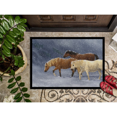 Non-Slip Outdoor Doormat