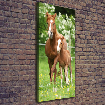Mare And Foal - Wrapped Canvas Print